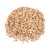 shepa-apple-1 shepa-apple-1